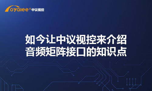 杏宇注册网页版 如今让中议视控来介绍音频矩阵接口的知识点